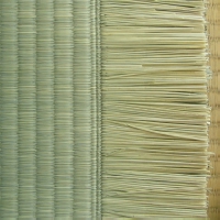 普通品・中国綿綿Ｗ表のヒゲ